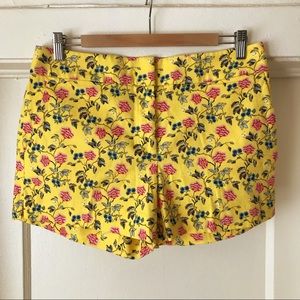 NWT Ann Taylor LOFT riviera short size 6